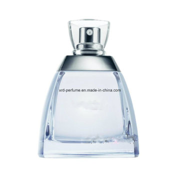 Venda quente Preço de Fábrica Moda Design Perfume Vibrante